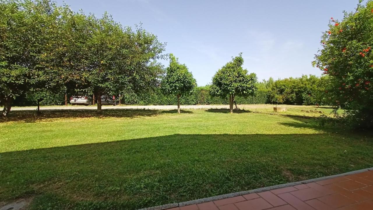 Farm stay Il Chiassetto No Kids